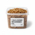 1 kilo levende meelwormen